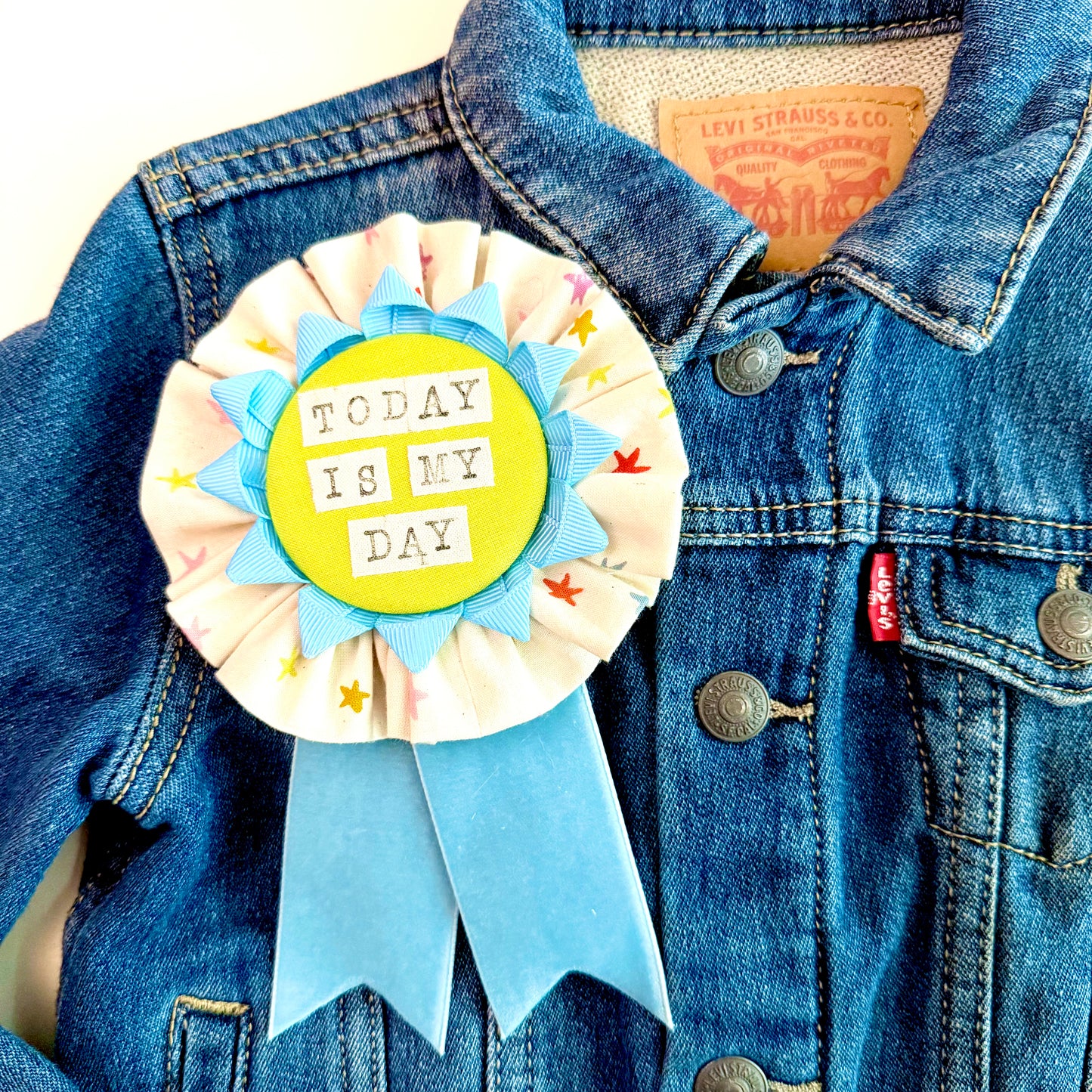 Emotional Support Ribbon #5 - Today is my Day